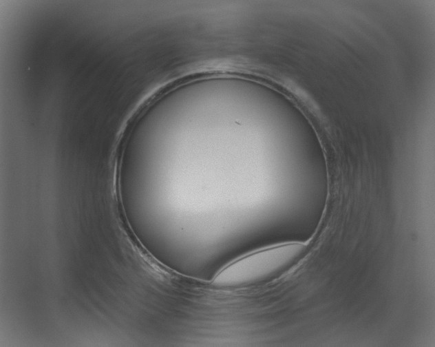 X0000073531224200607311007