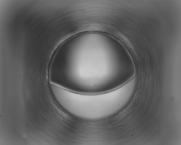X0000073531226200607311007