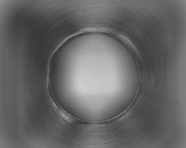 X0000073531228200607311007