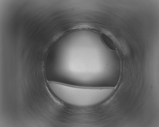 X0000073531233200607311007