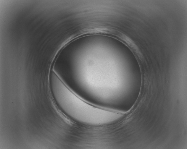 X0000073531234200607311007