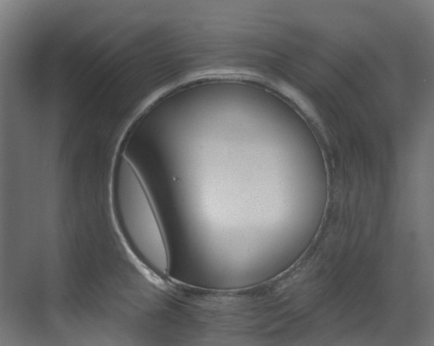 X0000073531237200607311007