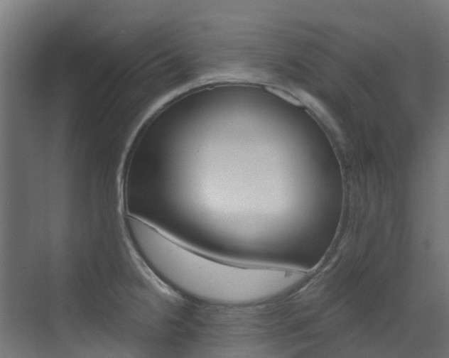 X0000073531238200607311007