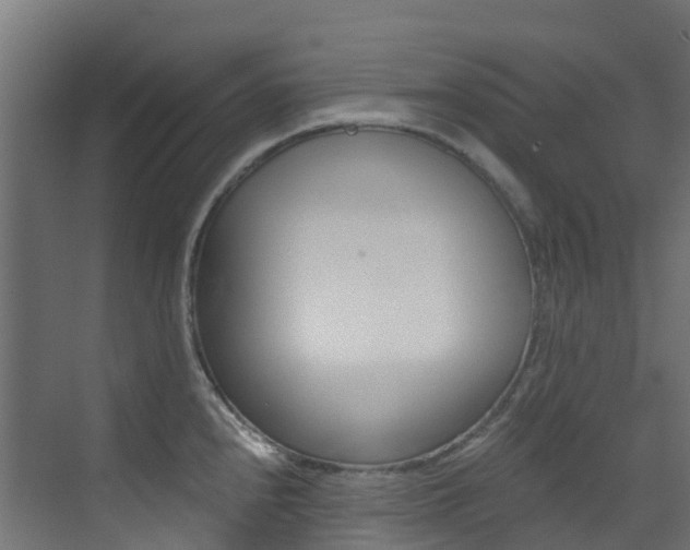 X0000073531240200607311007