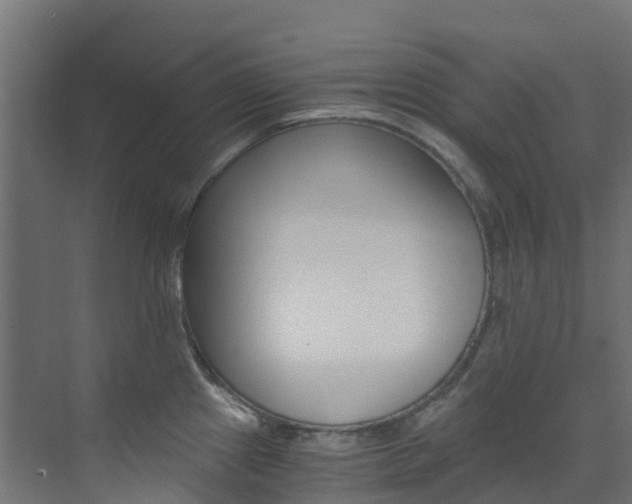 X0000073531241200607311007