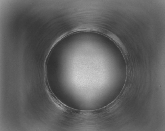 X0000073531242200607311007
