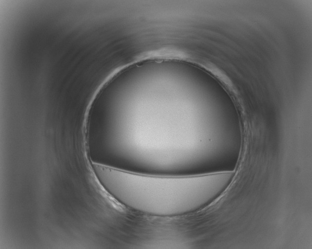 X0000073531248200607311007