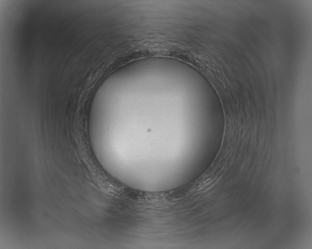 X0000073531249200607311006