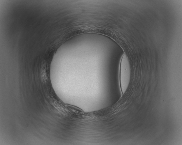 X0000073531250200607311006