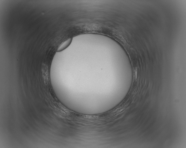 X0000073531251200607311006