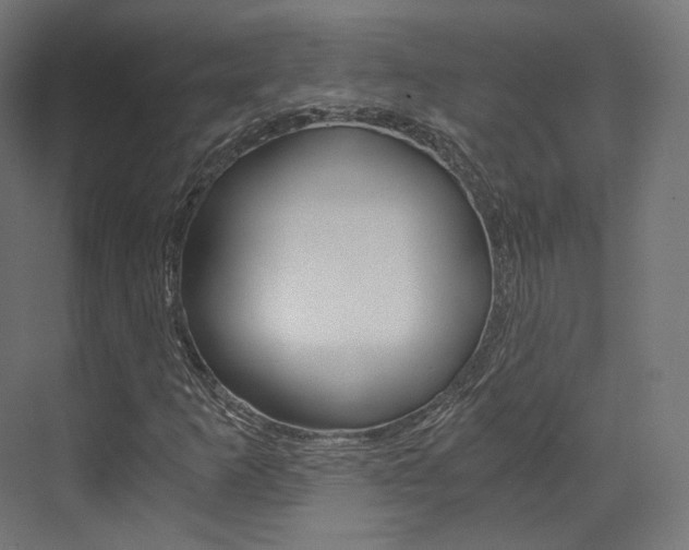 X0000073531253200607311006