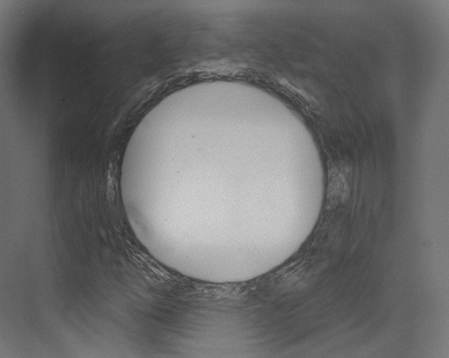 X0000073531254200607311006