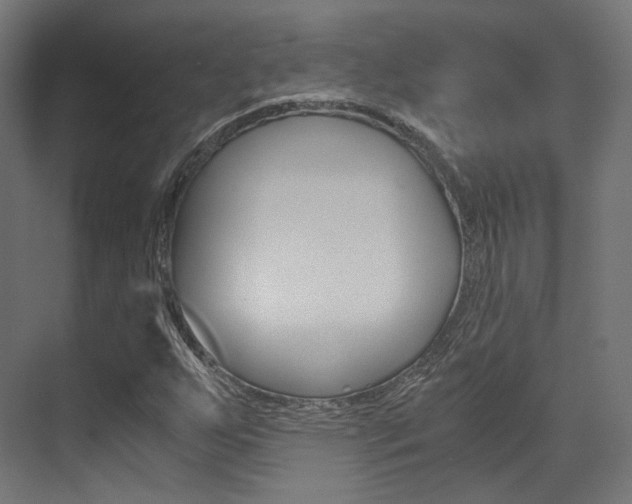 X0000073531255200607311006