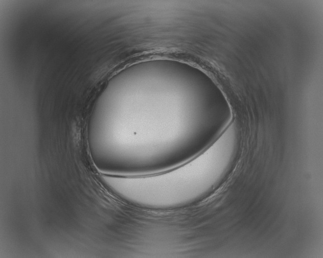 X0000073531257200607311006