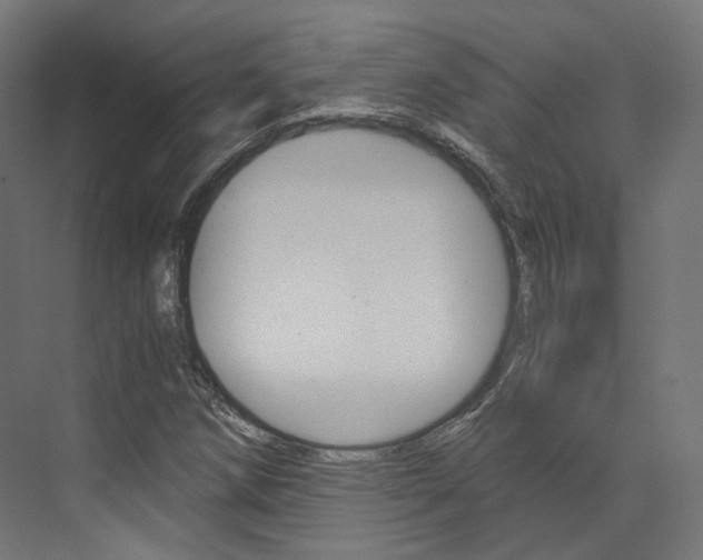 X0000073531258200607311006