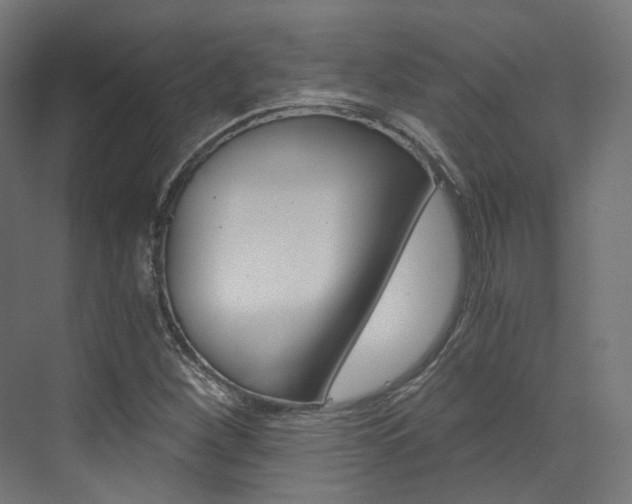 X0000073531260200607311006