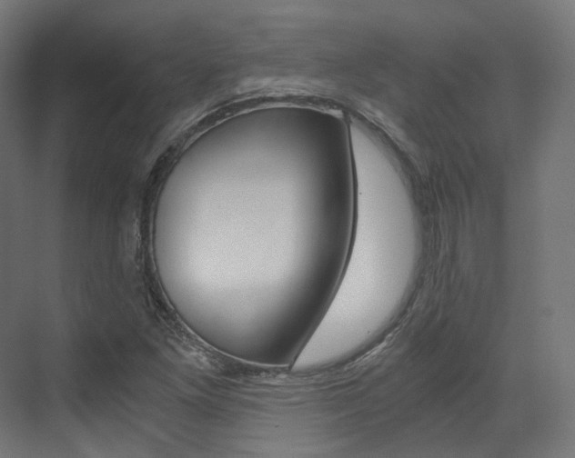 X0000073531261200607311006