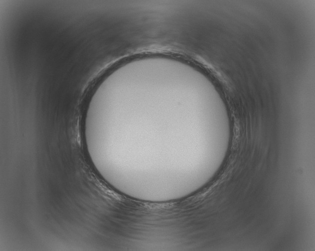 X0000073531262200607311006