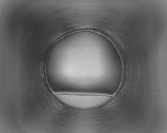 X0000073531265200607311006