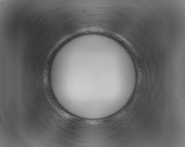 X0000073531266200607311006