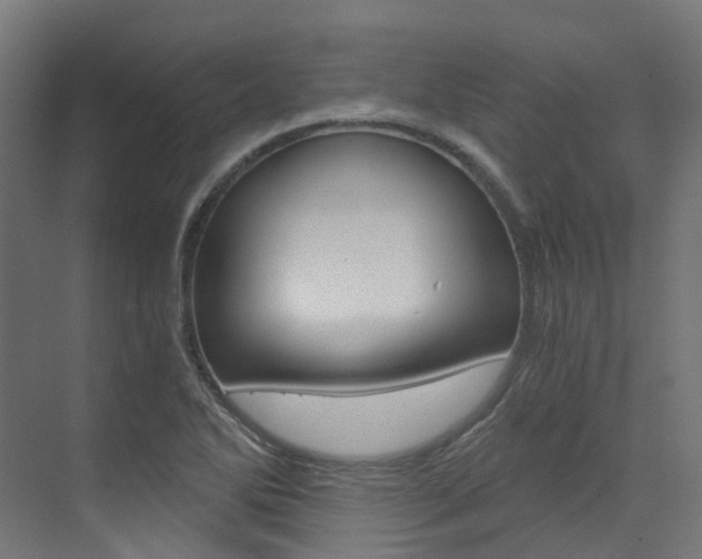 X0000073531270200607311006