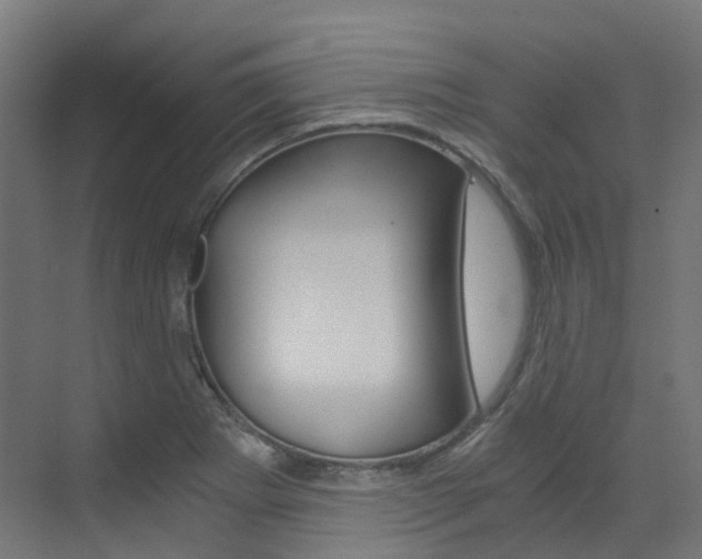 X0000073531273200607311006