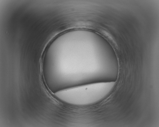 X0000073531275200607311006