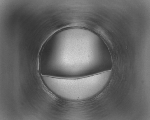 X0000073531276200607311006