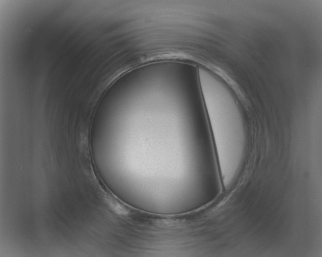 X0000073531281200607311006