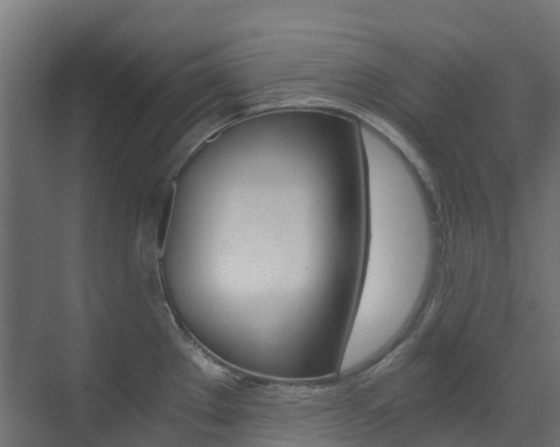 X0000073531289200607311006