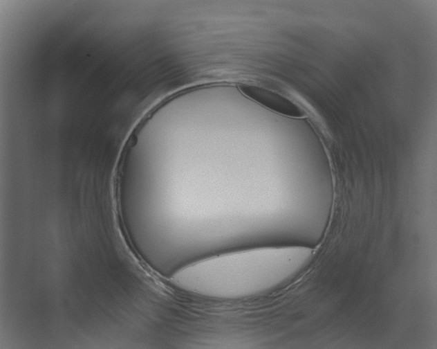 X0000073531291200607311006
