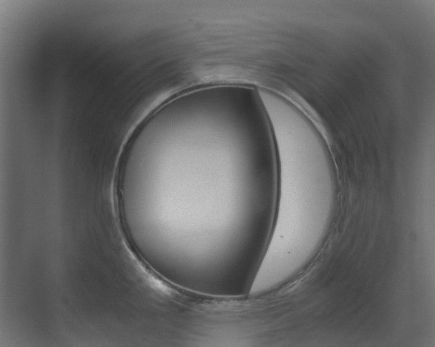 X0000073531293200607311006