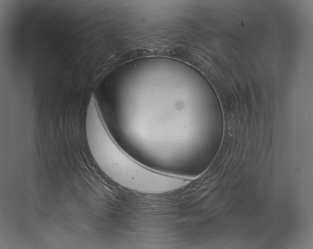 X0000073531298200607311005