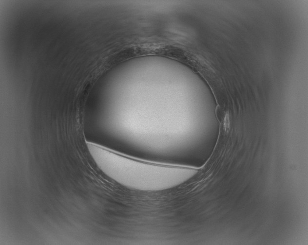 X0000073531299200607311005