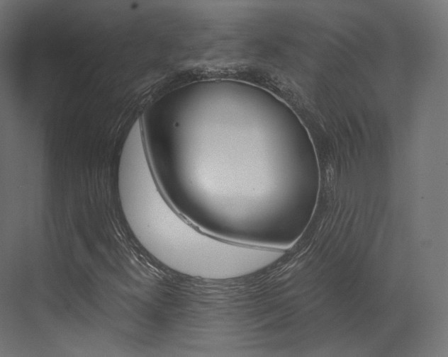 X0000073531300200607311005