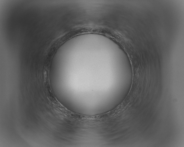 X0000073531302200607311005
