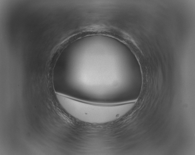 X0000073531304200607311005