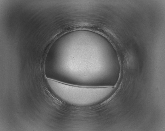 X0000073531305200607311005