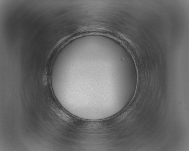 X0000073531306200607311005