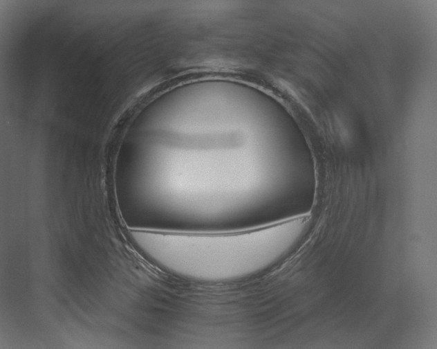 X0000073531307200607311005