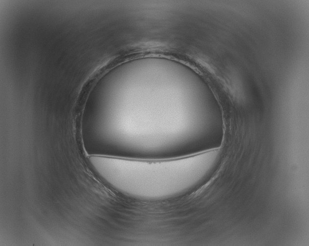 X0000073531309200607311005