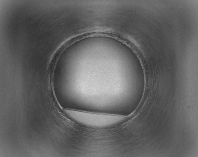 X0000073531310200607311005