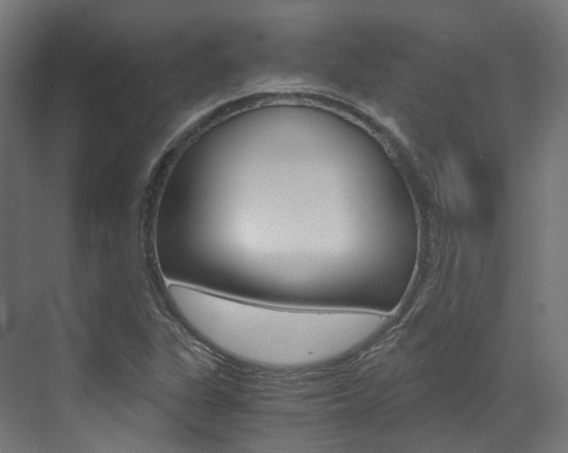 X0000073531311200607311005