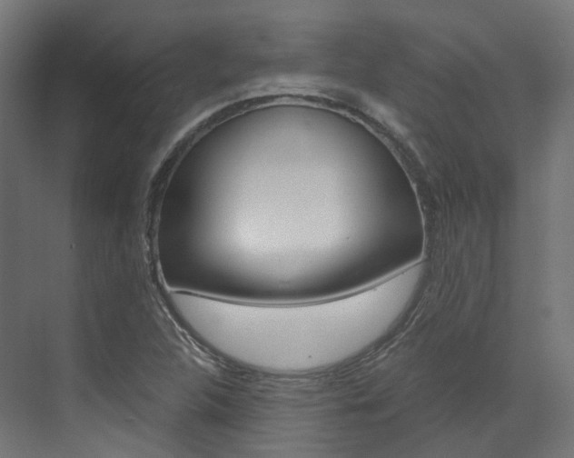 X0000073531312200607311005