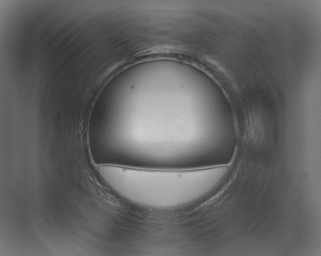 X0000073531313200607311005