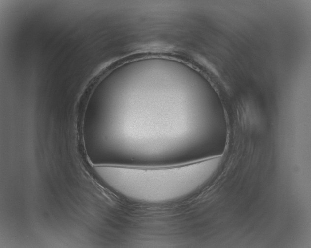 X0000073531315200607311005