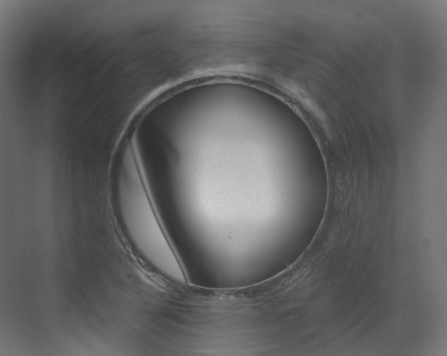 X0000073531316200607311005