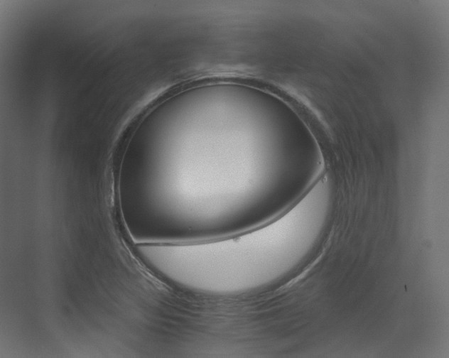 X0000073531317200607311005