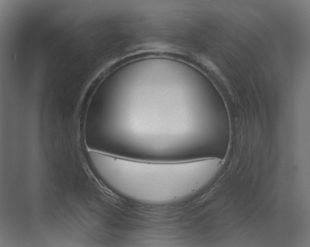 X0000073531318200607311005
