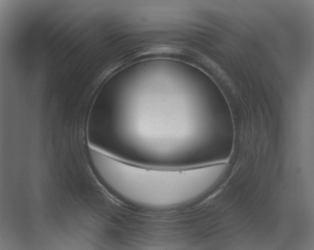 X0000073531321200607311005
